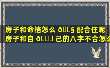 房子和命格怎么 🐧 配合住呢「房子和自 🐕 己的八字不合怎么办」